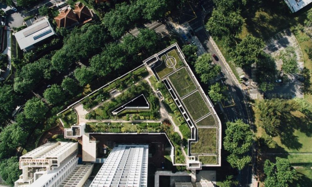 Singapore Government Land Sales: Latest Updates and Market Insights