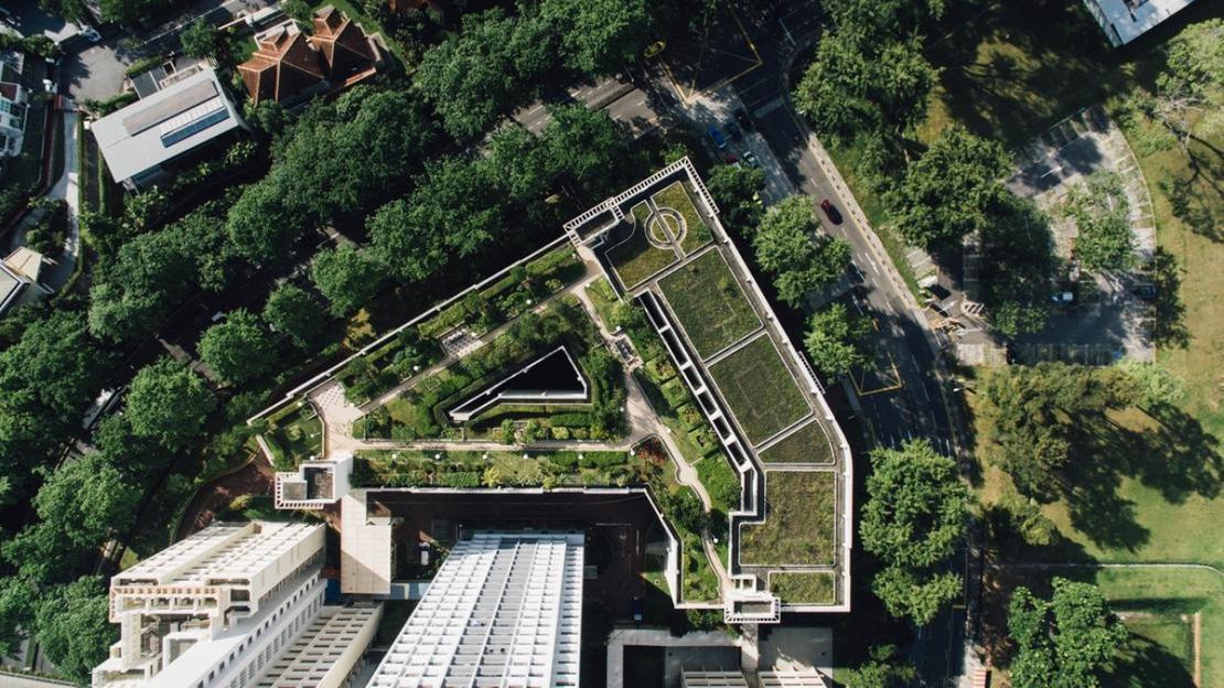 Singapore Government Land Sales: Latest Updates and Market Insights